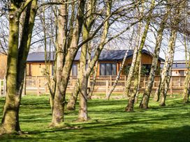 Goldfinch - Lincolnshire - 1192920 - thumbnail photo 2