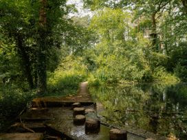 A path with stumps near water surrounded by greenery at Spitfire Lodge in Fair Oak
