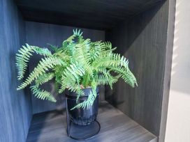 A fern in a black pot on a shelf at Rosefinch Cabin in Scarborough