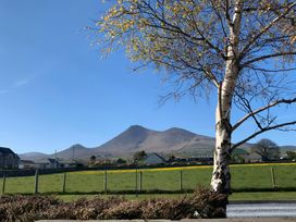 A view of mountains and a birch tree at 87 Ballyveaghmore Road Newry