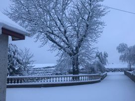 A snowy scene with trees and a path at 87 Ballyveaghmore Road in Newry
