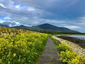 A path bordered by flowers and a stone wall leading to the sea at 87 Ballyveaghmore Road, Newry