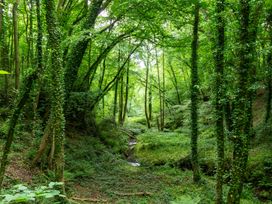A forest with trees and a stream at Glamping pod-Luxury Glamping Retreat in Battle