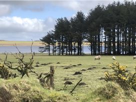 A field with sheep and trees near a lake at Tylands in Camelford