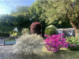 A garden with various plants and a shed at Tylands in Camelford