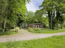 A cabin surrounded by trees at Satchwell Chalet in Inverness