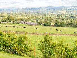 A view of cows grazing in a field at Pendle View Preston