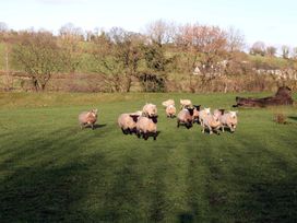 The Farmhouse -  - 1193726 - thumbnail photo 18