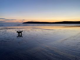 A dog on the beach during sunset at Seren Fach near Aberdaron