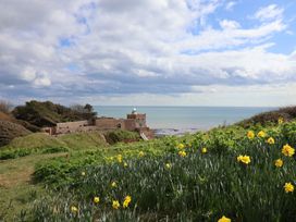 A view of the ocean and a fortress with flowers in the foreground at Ellishayes Farm in Combe Raleigh