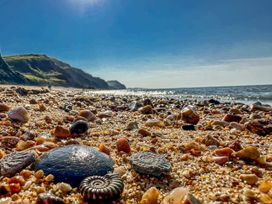 A beach with pebbles and shells at Honeypot Cottage Whitchurch Canonicorum