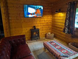 A living room with a wood stove and television at Pineshadow Lodge in Louth