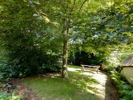 A garden area with a tree and a bench at Fountain Hill House in Londonderry
