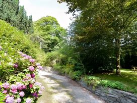 A garden with a pathway and flowers at Fountain Hill House Londonderry