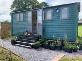 Bluebell Shepherd’s Hut - Anglesey - 1193968 - thumbnail photo 1
