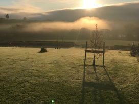 A garden with grass and a tree at Shepherds hut in Dumfries