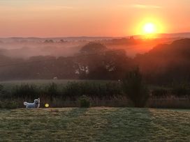 A dog in a field during sunrise at Shepherds hut in Dumfries