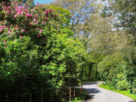 A path surrounded by flowers and trees at Bodior Garden Cottage Bach Holyhead