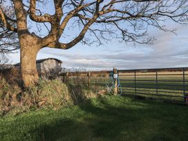 A field with a tree and a gate at Rhosgranog Shepherds Hut Llandeloy near Solva
