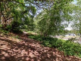 A path surrounded by trees and bushes at Cedar Lodge 2 Bedrooms with hot tub Delamere