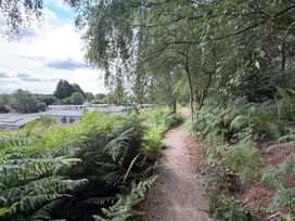 A pathway surrounded by ferns and trees near buildings at Cedar Lodge 2 Bedrooms with hot tub in Delamere