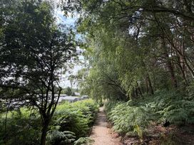 A pathway surrounded by trees and ferns at Cedar Lodge 2 Bedrooms with hot tub in Delamere