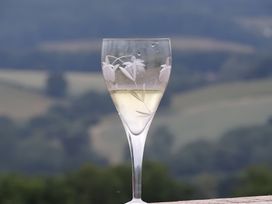 A glass of white wine with an outdoor view at The Tree House in the Woods Longhope