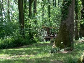 A wooded area with a wooden structure at The Tree House in the Woods Longhope