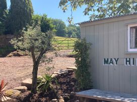 An outdoor area with an olive tree and a wooden bench at Cosy Shepherd’s Hut in Longhope