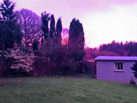 A garden with trees and a shed at Cosy Shepherd’s Hut Longhope