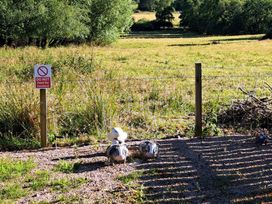 An outdoor area with a sign stating not to feed the livestock at The Posh Bothy 2 in Roy Bridge