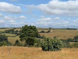 A landscape with a tree and bushes in a field at Moorland View in Dobwalls