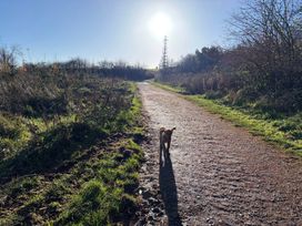 A dog walking on a path with vegetation and a tower in the background at Ashberry 38 x 12 Two Bed - 5 Northwich