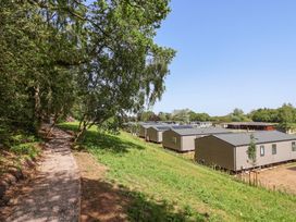 A view of holiday lodges alongside a pathway at Cedar Lodge 3 Bedrooms in Delamere