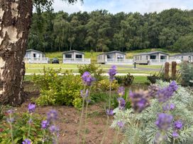 A view of cabins in a garden area at Cedar Lodge 3 Bedrooms Delamere