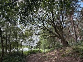 A path through trees in a forest at Cedar Lodge 3 Bedrooms Delamere