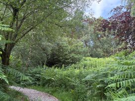 A pathway through greenery at Cedar Lodge 3 Bedrooms Delamere