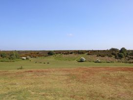 A field with horses grazing at Woodlands house Ringwood