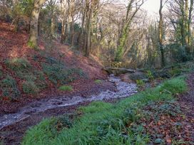 A stream with a wooden bridge in a wooded area at 114 - The Residance Redruth