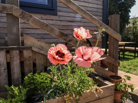 A garden with poppies and wooden stairs at Dunfell Shepherd's Hut in Appleby-In-Westmorland