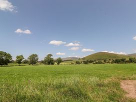 A landscape with grass and trees at Dunfell Shepherd's Hut Appleby-In-Westmorland