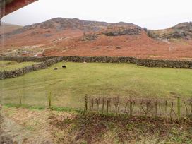 A grassy field with cows and a stone wall at Easthwaite Cottage in Holmrook near Easthwaite Farm