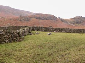 Sheep in a field with stone walls at Easthwaite Cottage Holmrook near Easthwaite Farm