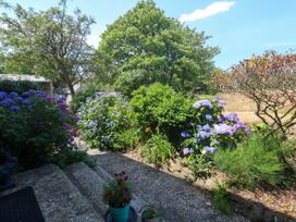 A garden with flowers and plants at Halwyn Farm in Helston