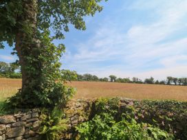 A field with a stone wall and tree at Halwyn Farm in Helston
