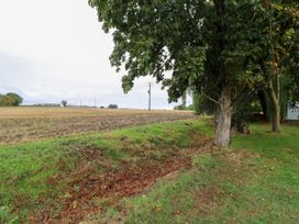 A field with trees and electric poles at Three Ways in South Lopham near Garboldisham