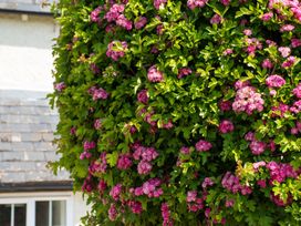 A bush with pink flowers at Glencoe Cottage in Broadway