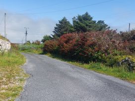 A road bordered by bushes and trees at Tigh Marie