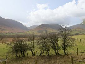A landscape with mountains and trees at Newlands Fell Cottage in Newlands near Keswick