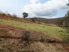 A grassy landscape with trees and a fence at Newlands Fell Cottage near Keswick